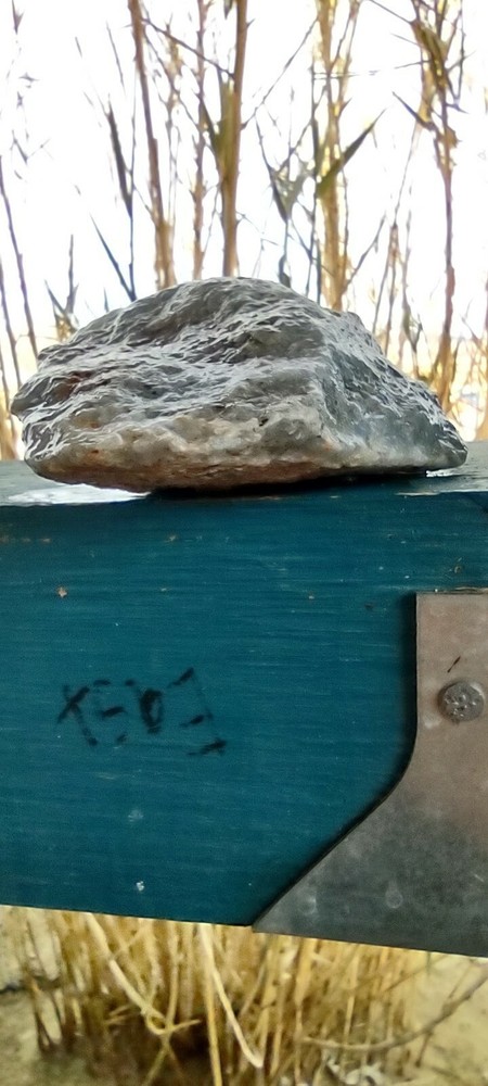 Lapidary Cut Once Blue Chalcedony Feldspar Unique Specimen
