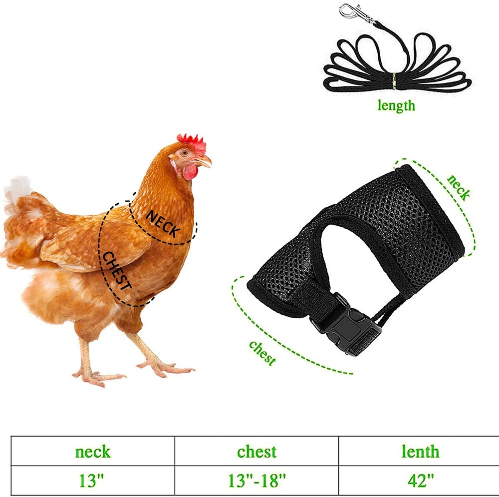4 Pcs Adjustable Chicken Harness with Leash- 4 Styles Medium, 4