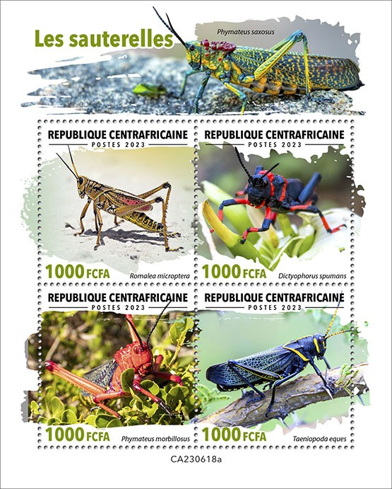 Grasshoppers
