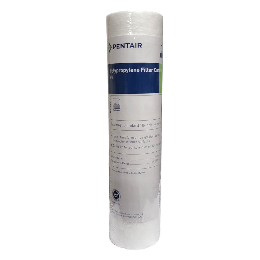 Pentek P1 / 155225-43 10x2.5 Water Filter Replacement 1 MICRON