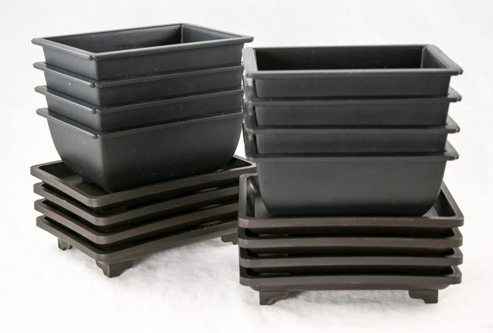 8 Sets Rectangular Plastic Shohin Bonsai Training Pot, Cactus & Succulent Plante