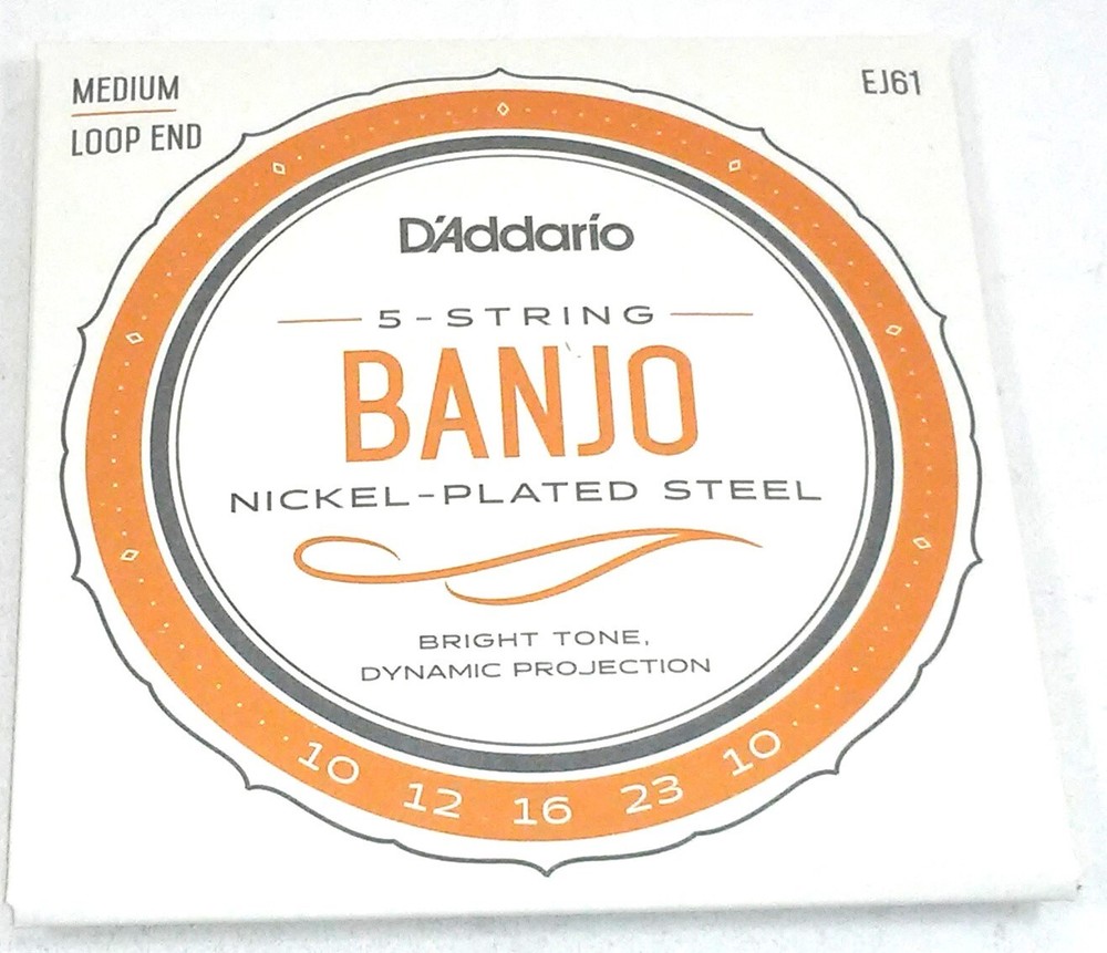 D'Addario Banjo Strings Nickel Steel Loop End Medium EJ61