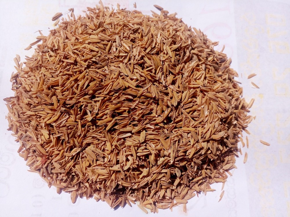 Rice Husk 100% natural compost hydroponic growing media 100g