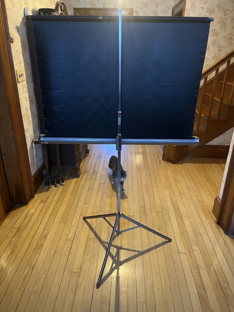 Da Lite White Magic Projector Screen 49" x 33" 1950s in Original Box