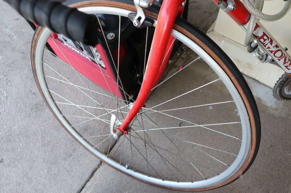 Lemond Reynolds Bicycle Racing