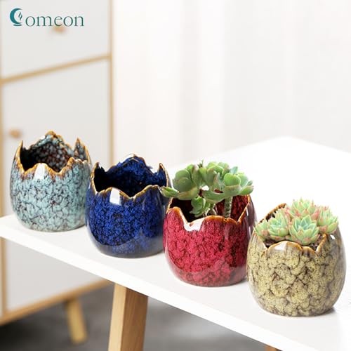Succulent Pots with Drainage Half Dragon Egg Shell Design Ceramic Dragon Egg-1
