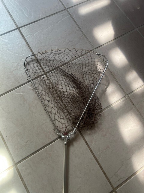 Vintage Original D.A.M Iconic Telescoping Folding Handle Landing Net