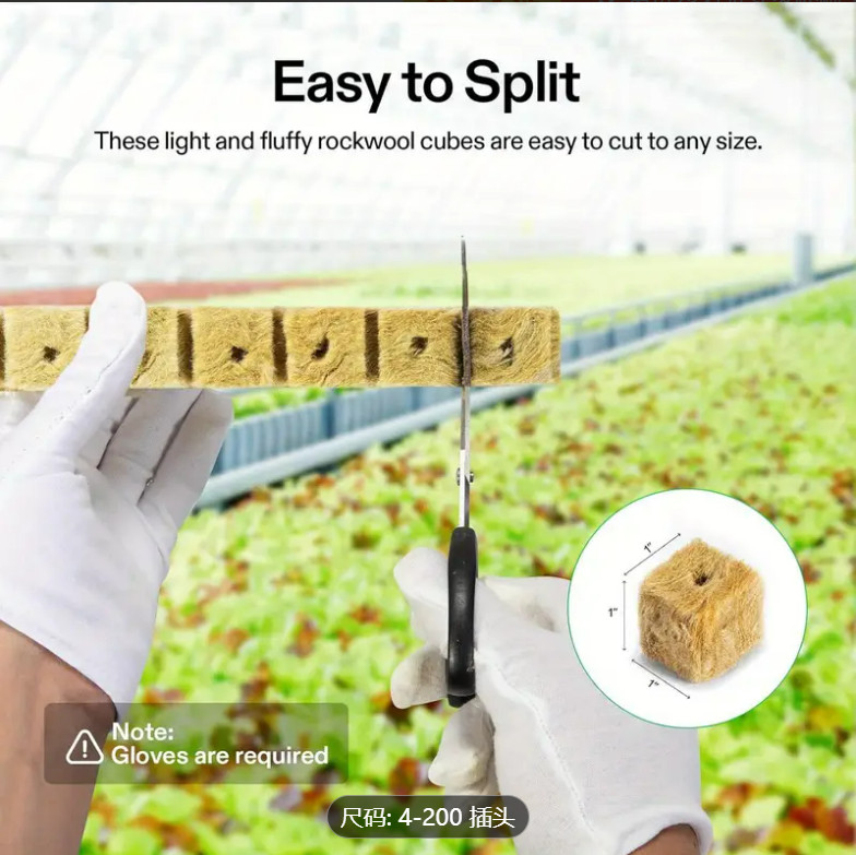 4 Sheets 200 Rock Wool Cubes 200 Plugs Stonewool Seed Starter Hydroponic Grow