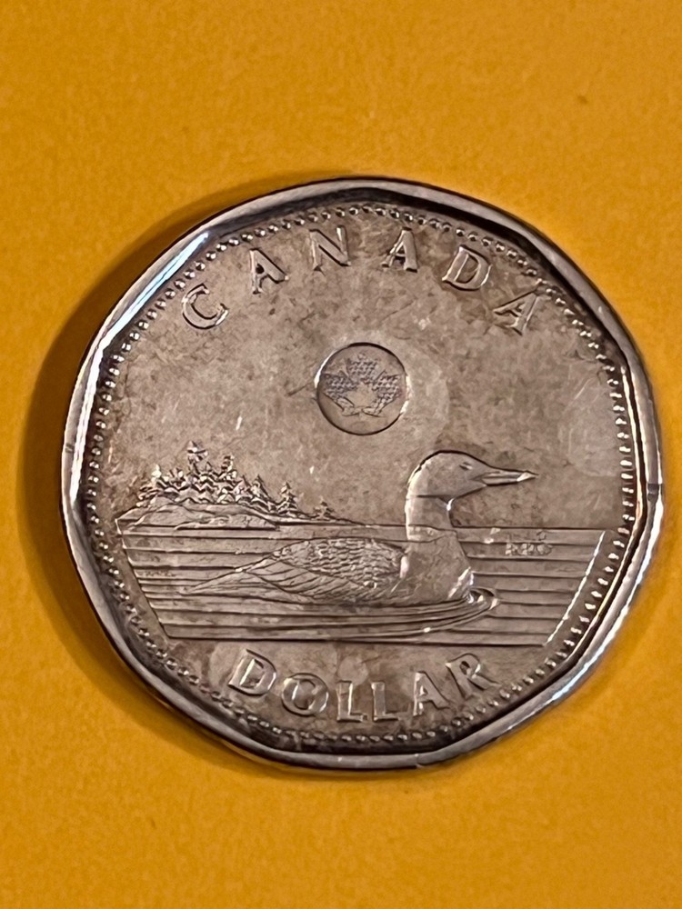 COIN CANADA 2013 DOLLAR FREE SHIPPING