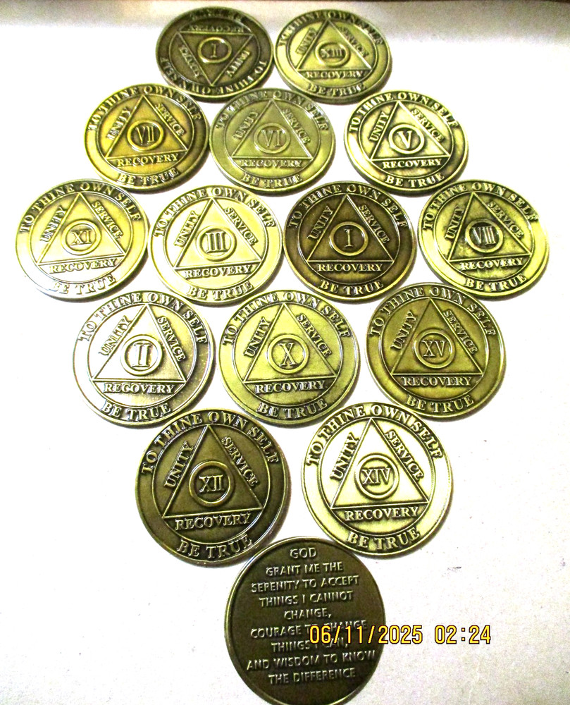 Brass Coin AA NA Chip Sobriety Inspirational All 12 step programs