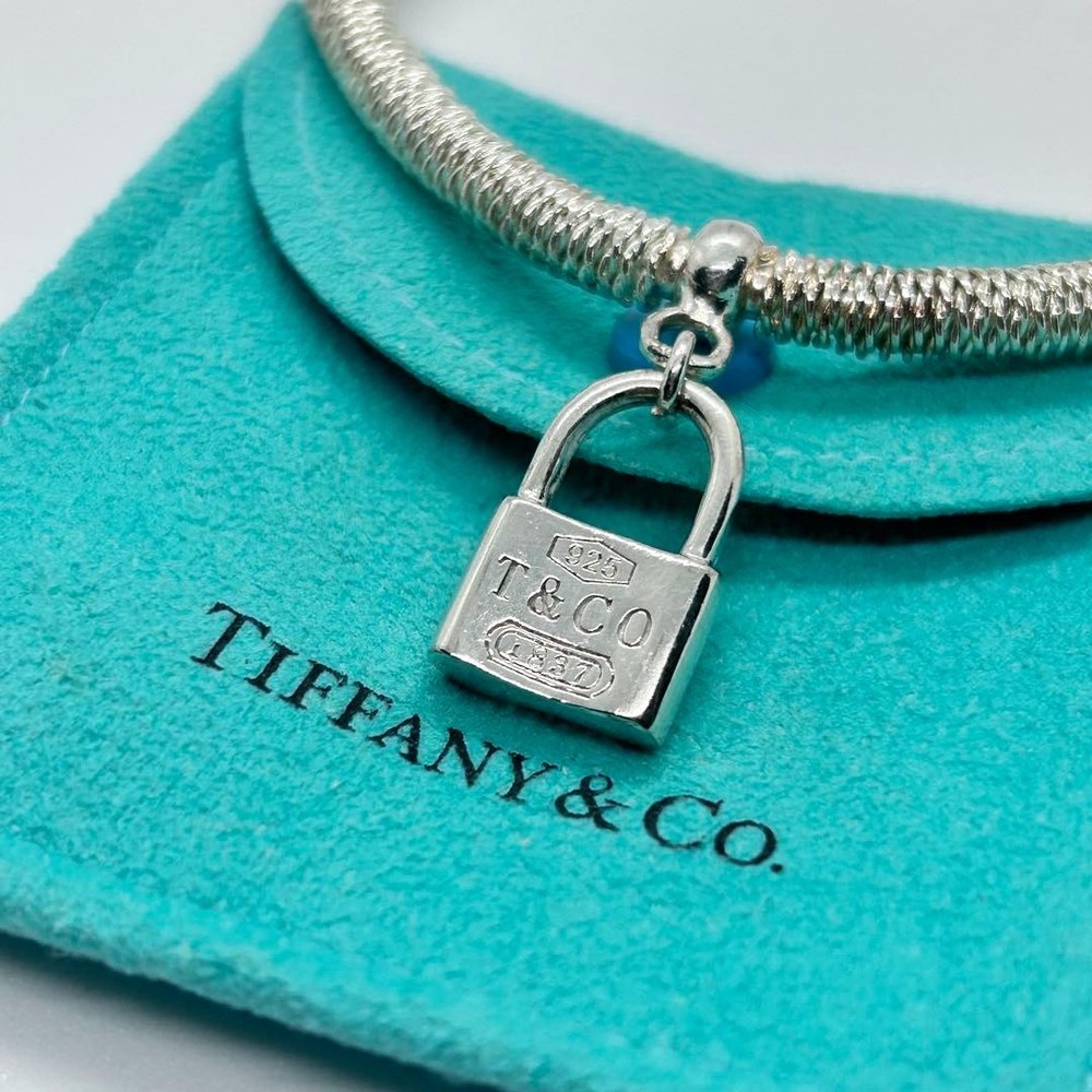 TIFFANY & Co. Somerset Cadena Mesh Bangle, 925 Silver Rare