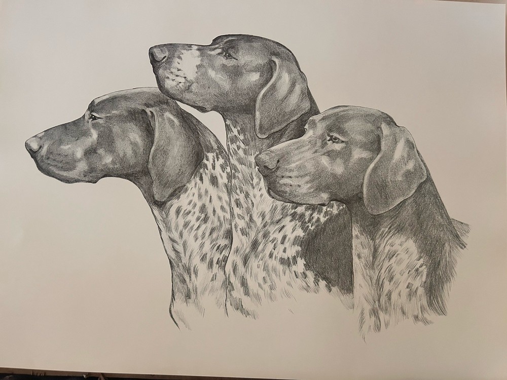 German Shorthaired Pointer Martha Van Loan Print 14 X16 unsigned