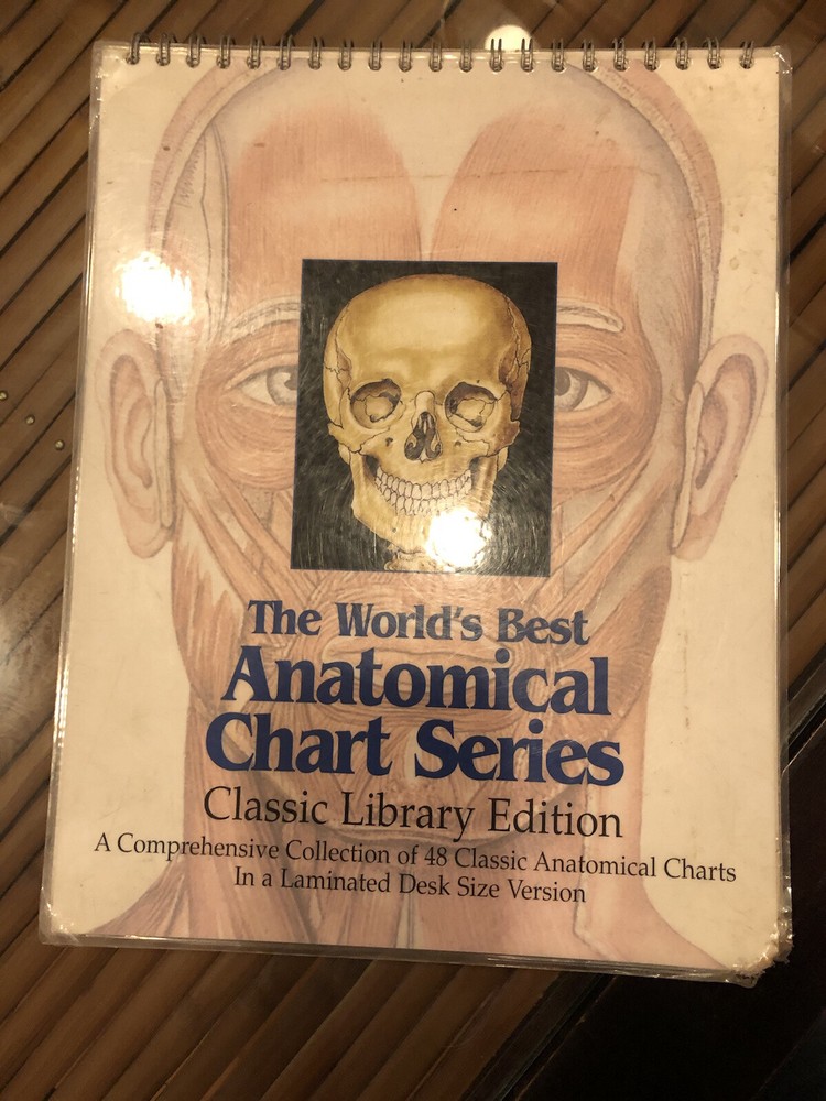 anatomical charts