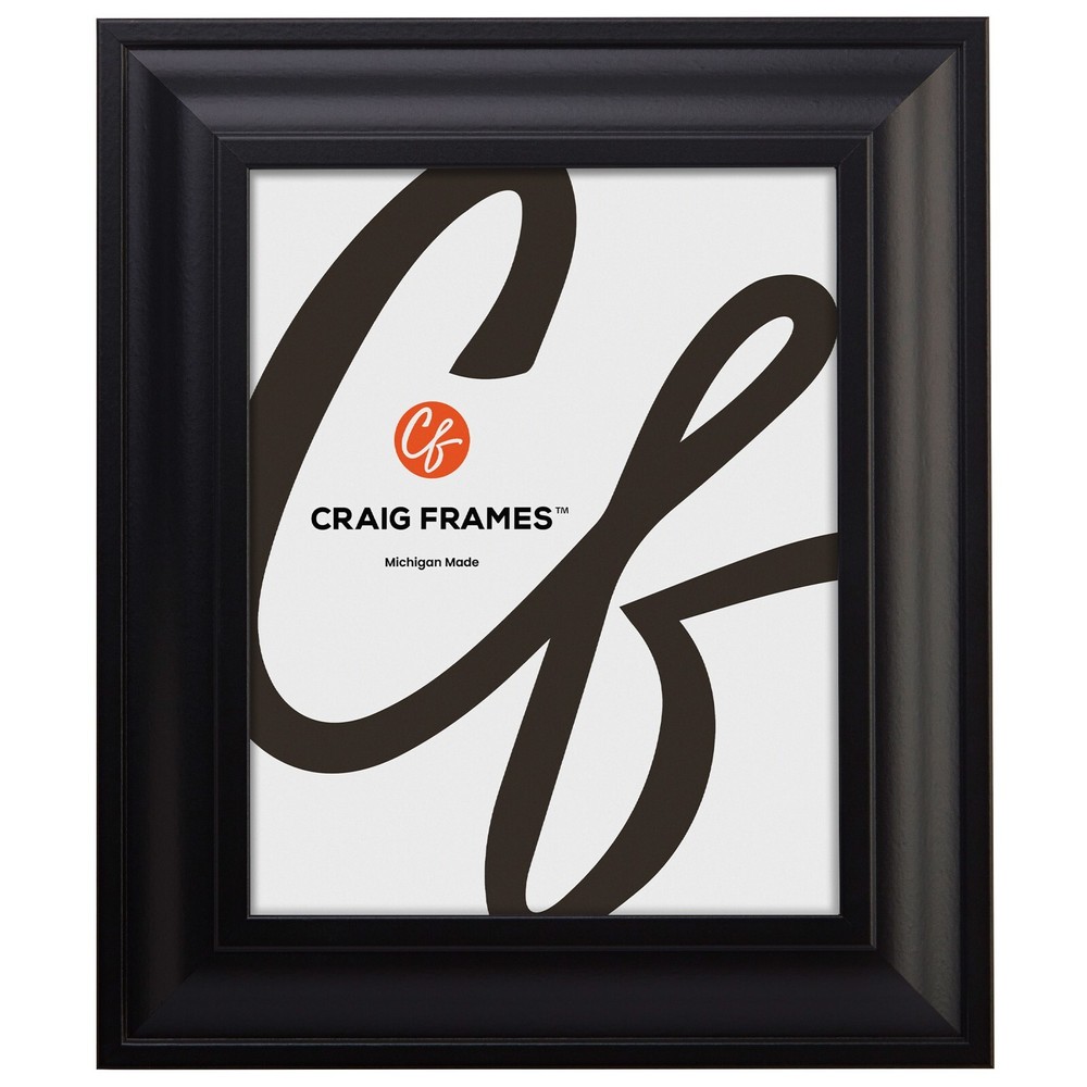 Craig Frames 2" Wide Satin Black Picture Frames & Poster Frames, 2-Pack