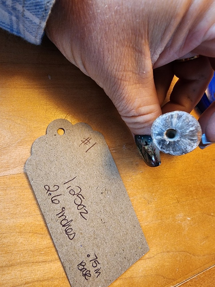 Belemnite Fossil Specimens, Wyoming