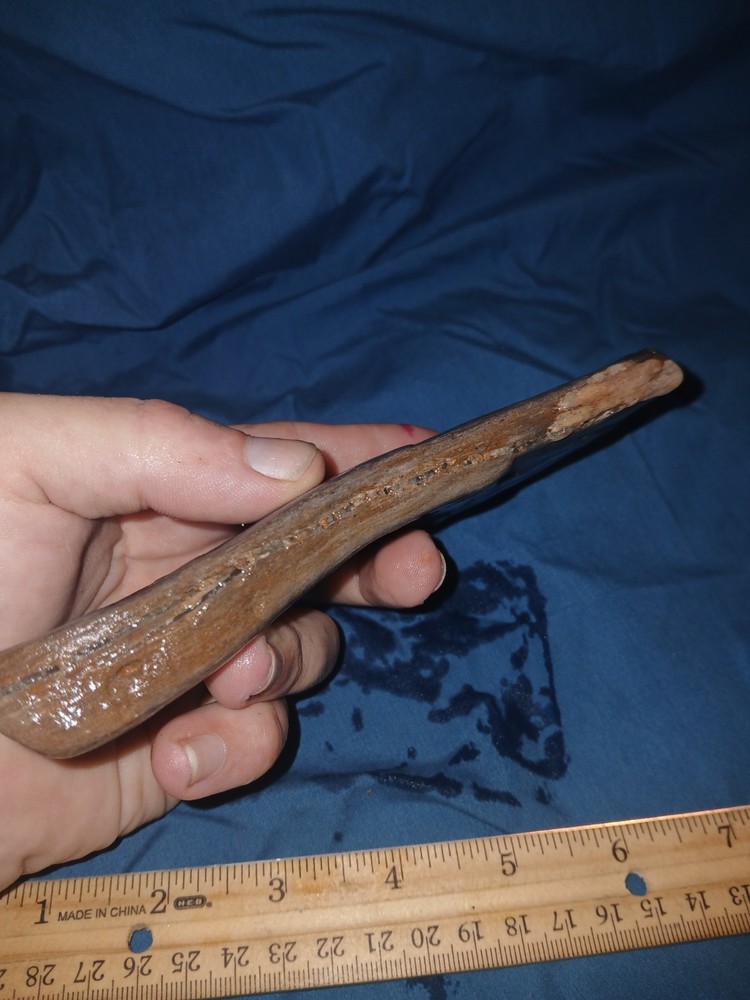 10 oz Petrified Wood