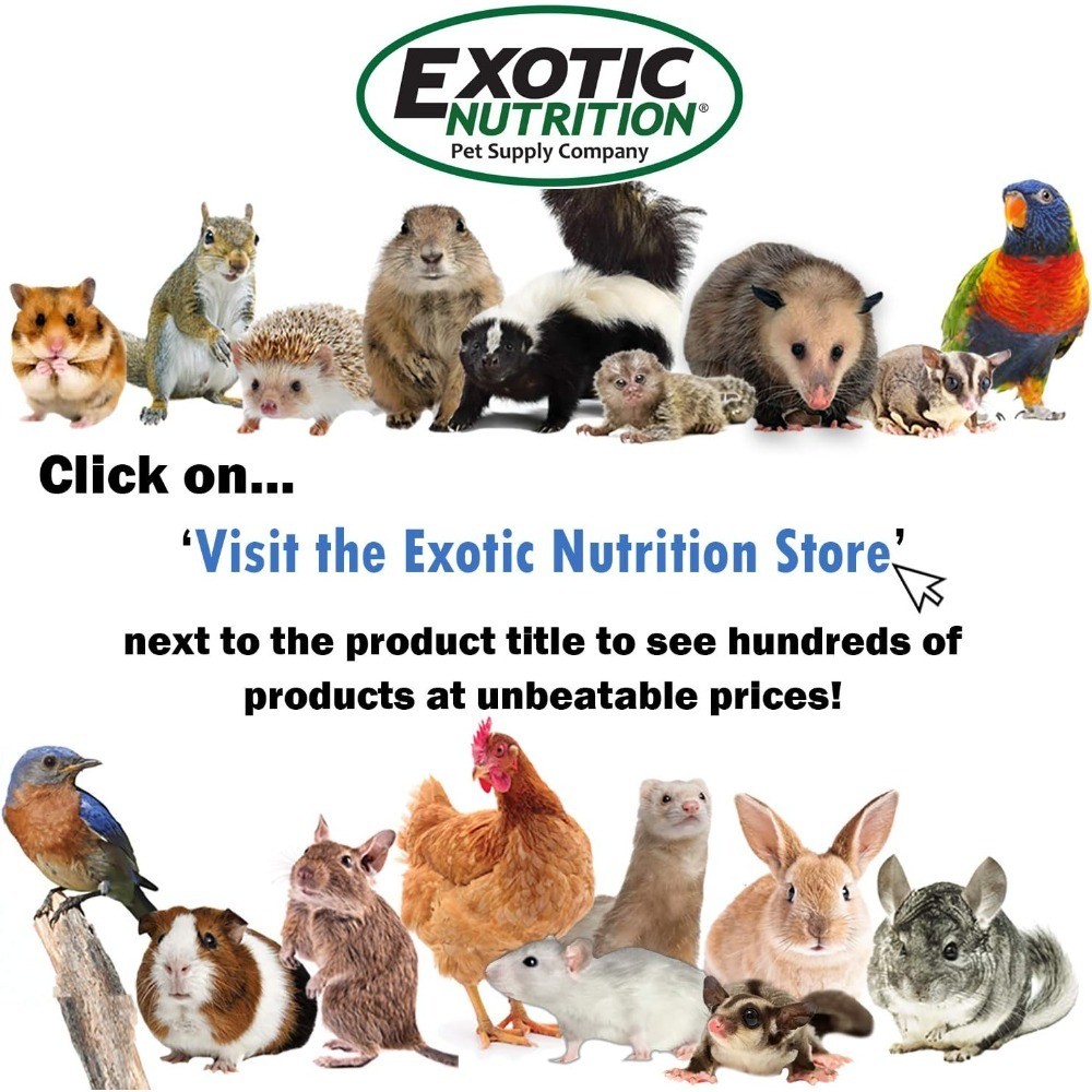Natural Cotton Nesting Material 1.5 oz Eco Friendly Bedding for Small Animals