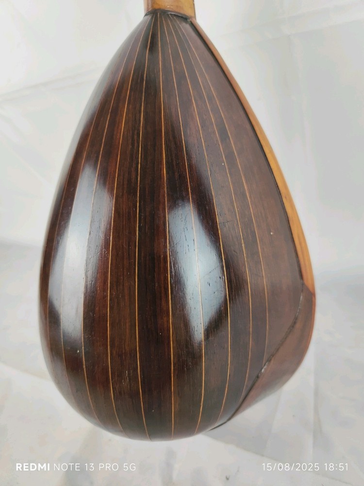 Mandolin 4/4 Giuseppe Cesolari 1905 Rome 曼陀林 만돌린マンドリン