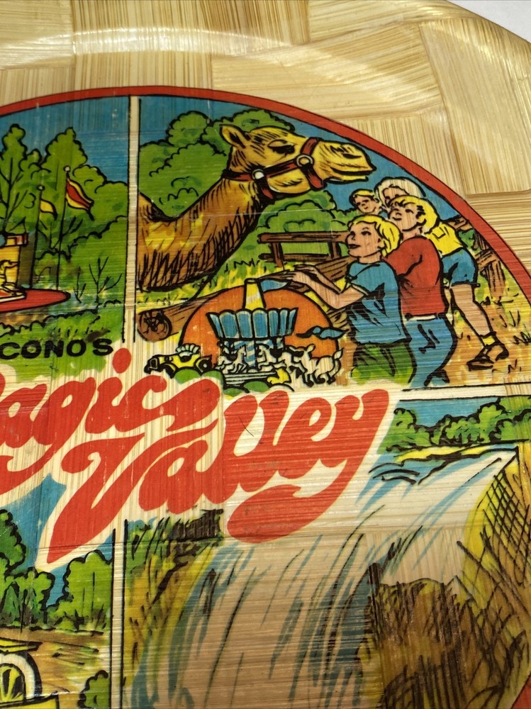 Vintage Poconos Magic Valley 13 inch Tray