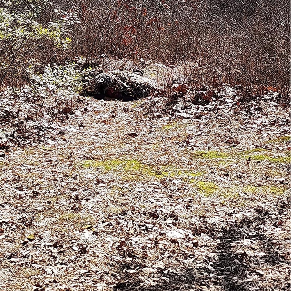 Lightweight Oxford Polyester Camo Netting, 1.5x2m - Secure Outdoor Coverage
