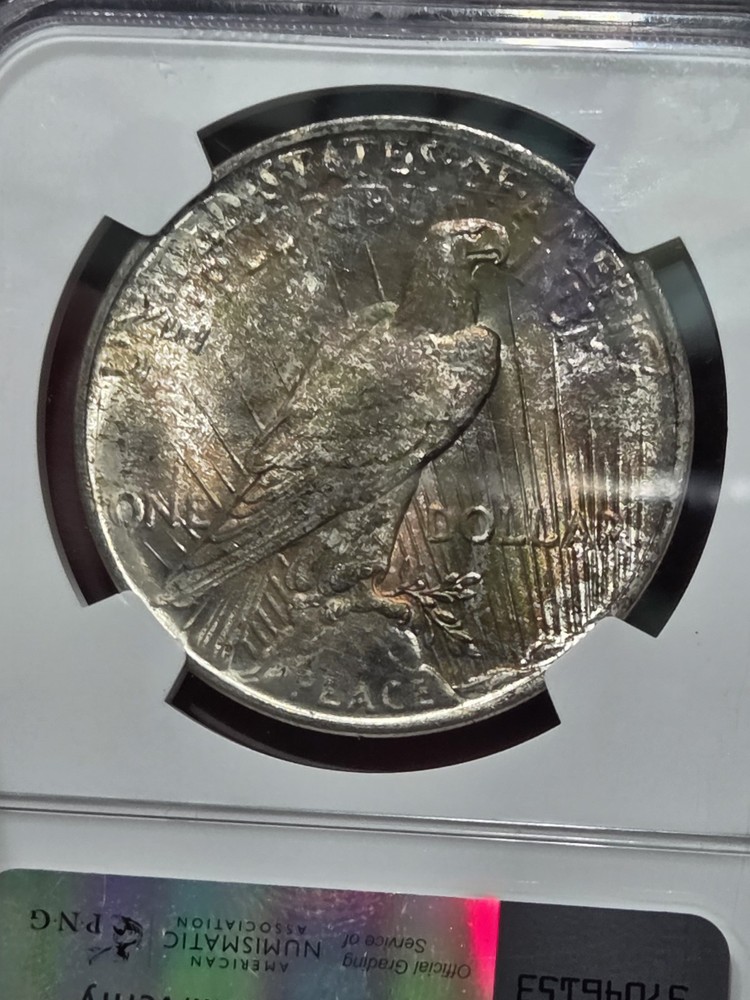 1922 $1 Peace Dollar NGC MS64 Toned