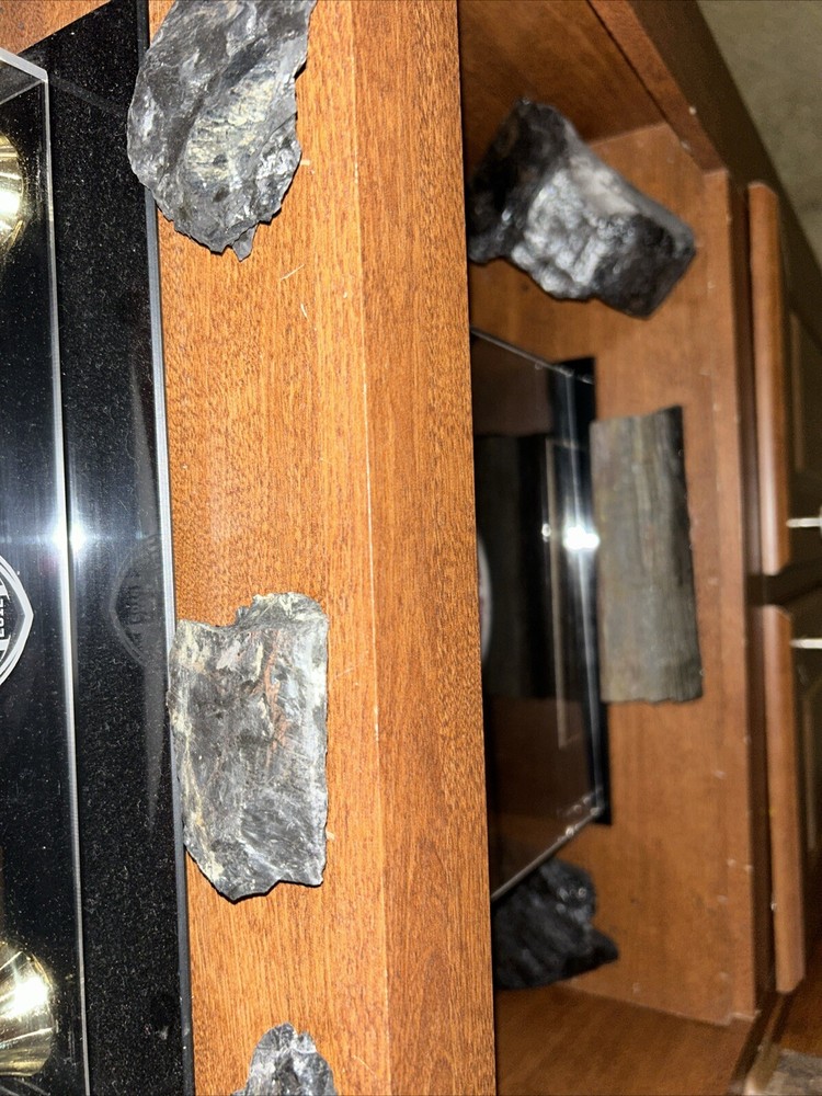 Fossils from coal mine 1200 feet deep