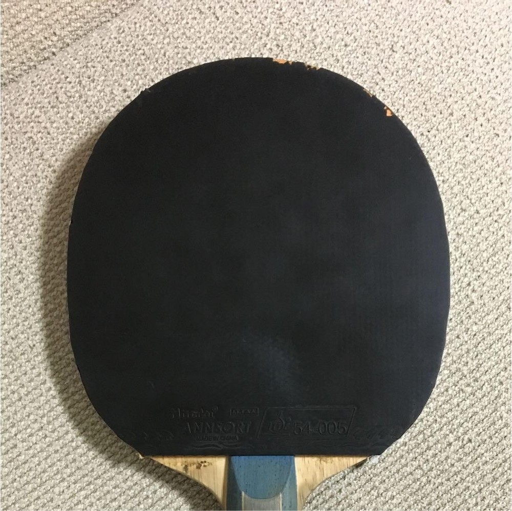 Table Racket Nittaku Sanalion-S