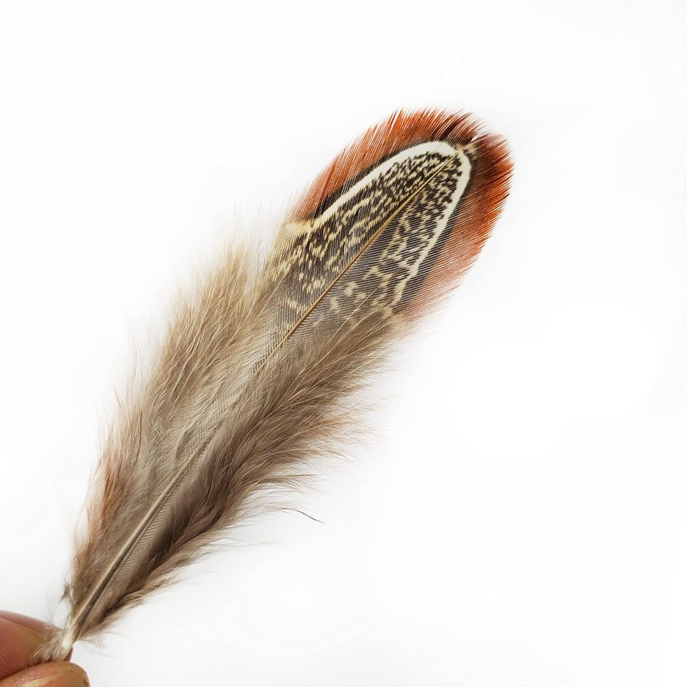 Eco-Friendly 50 Pcs Natural Pheasant Feathers - Ideal for Decorative Projects