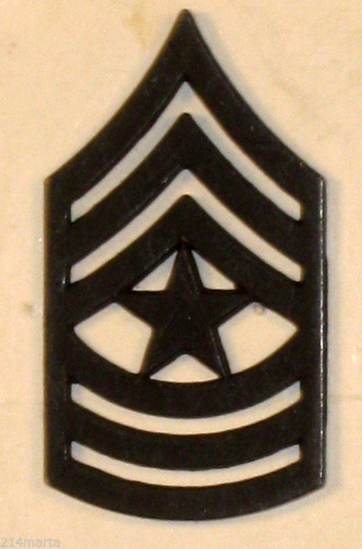US Army Sergeant Major Subdued Rank Insignia Collar Pins Pair