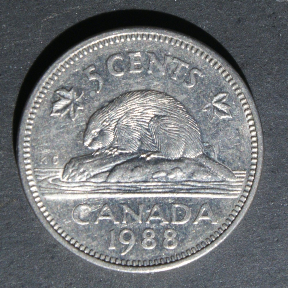 1988 5 Cent Coin Canada Elizabeth II - C03044