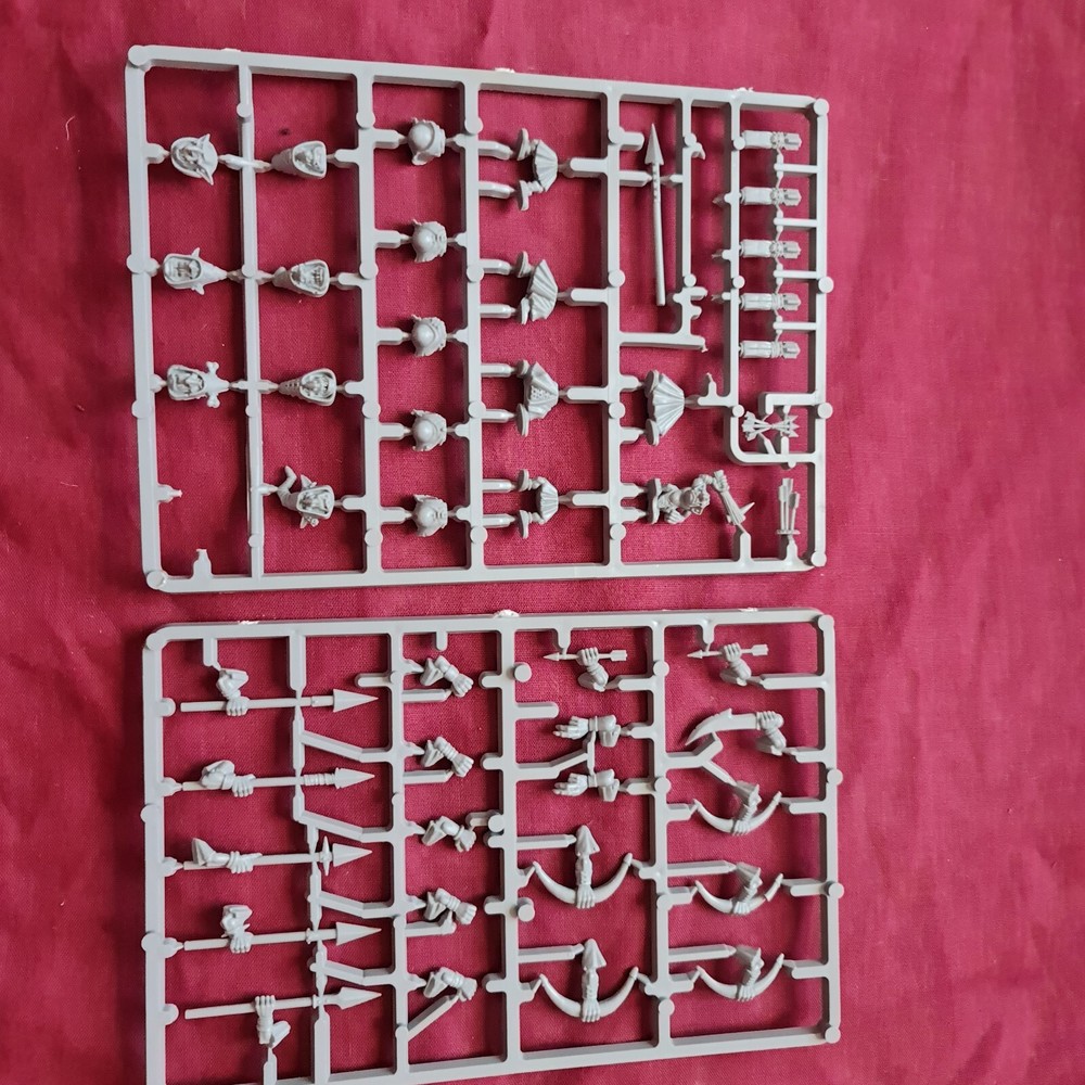 Nightgoblin Regiment.