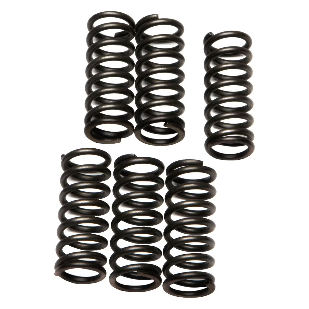 EBC Clutch Springs CSK28