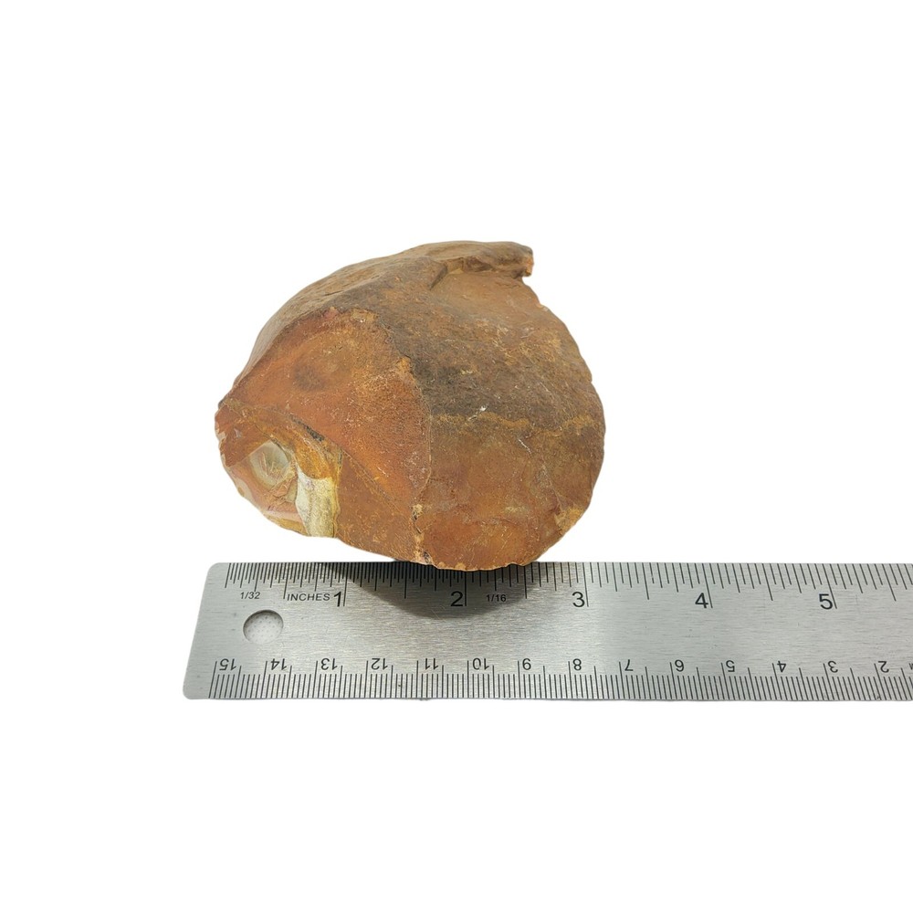 Polychrome Jasper, 3/4 lb, cabbing rough, lapidary, #R-6449