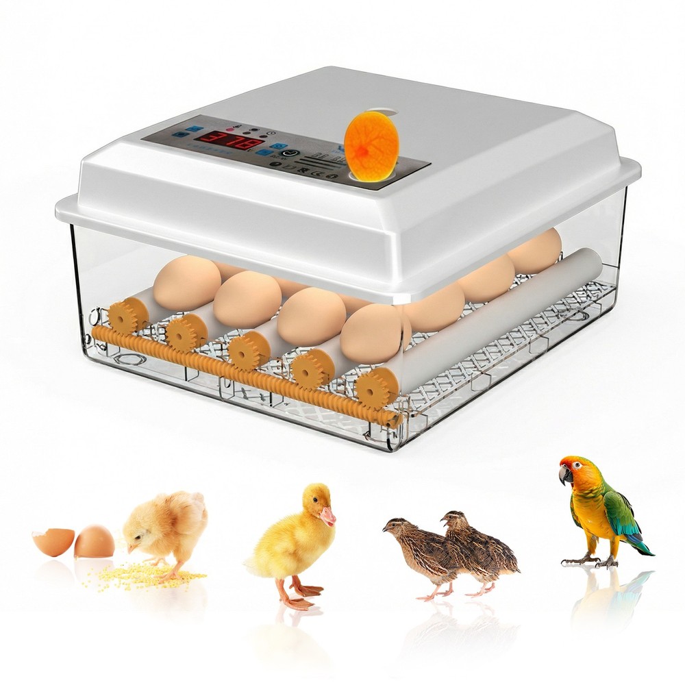 16/36 Eggs Digital Incubator Hatcher Temperature Control Automatic Turning 110V