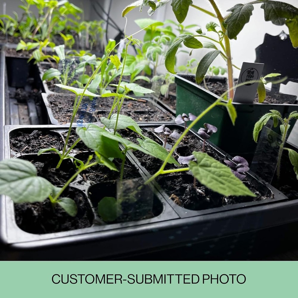 Seed Starter Trays 144 Cells with Stakes