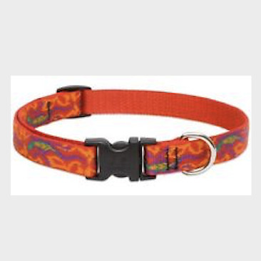 Lupine Go Go Gecko Collar, Harness, or Leash