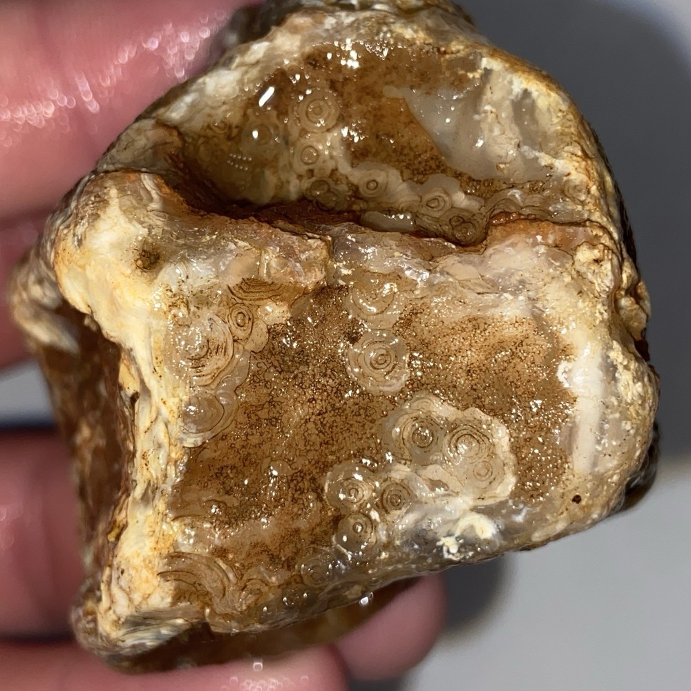 Gobi Agate Raw Rough Or Specimen 4.89 Oz