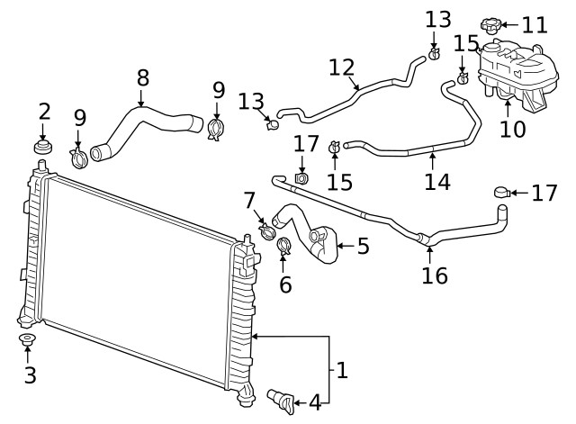 Genuine GM Lower Hose Clamp 11548976