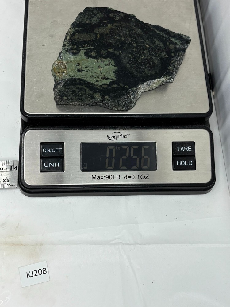 Kambaba Jasper Stromatolite Slab Lapidary Cabbing Combo Ship Avail