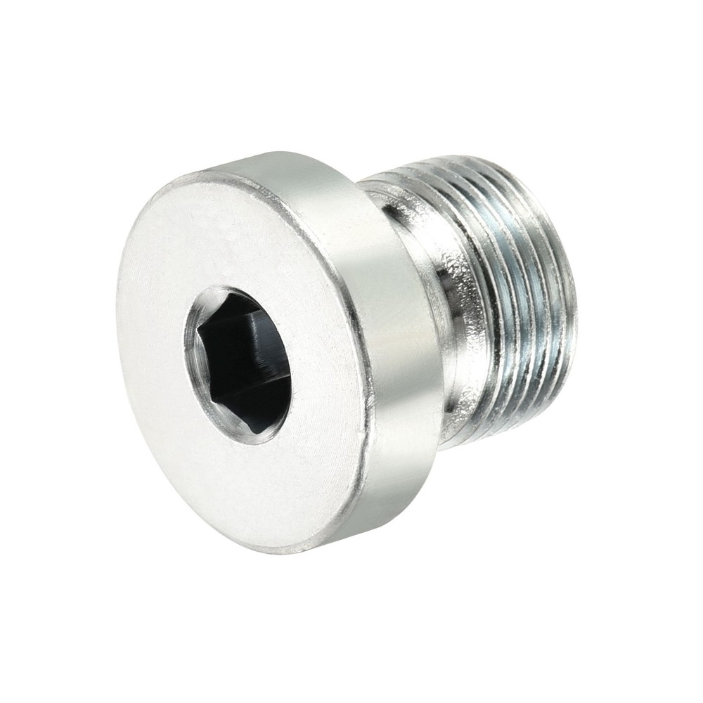 Pipe Fitting Hex Head Plug with Seal Ring, for Terminate Ends (M14x1)
