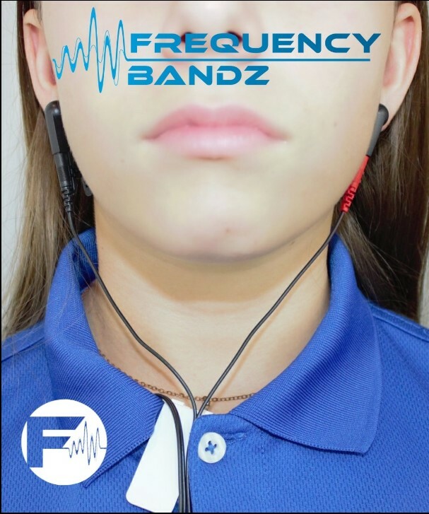 Ear Clip Electrodes / Healy Compatible