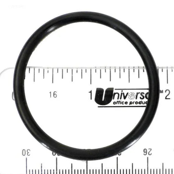 O-RING (UNION)