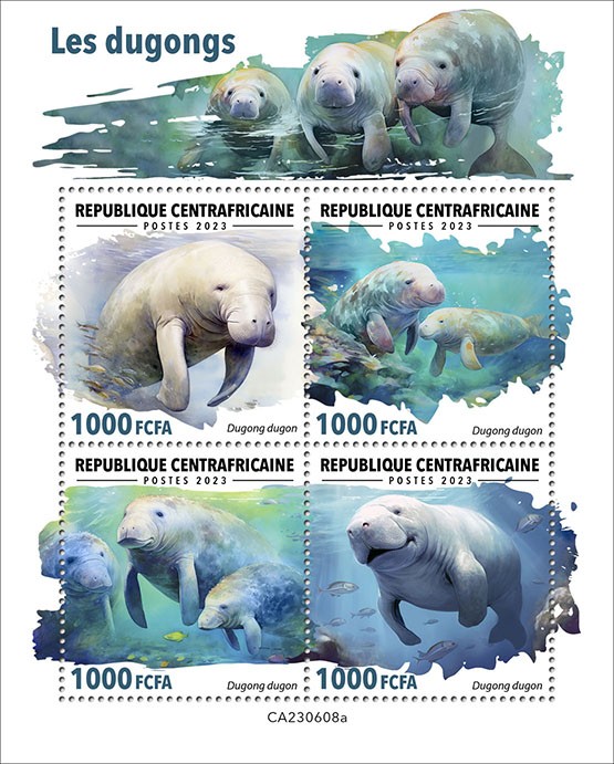Dugongs