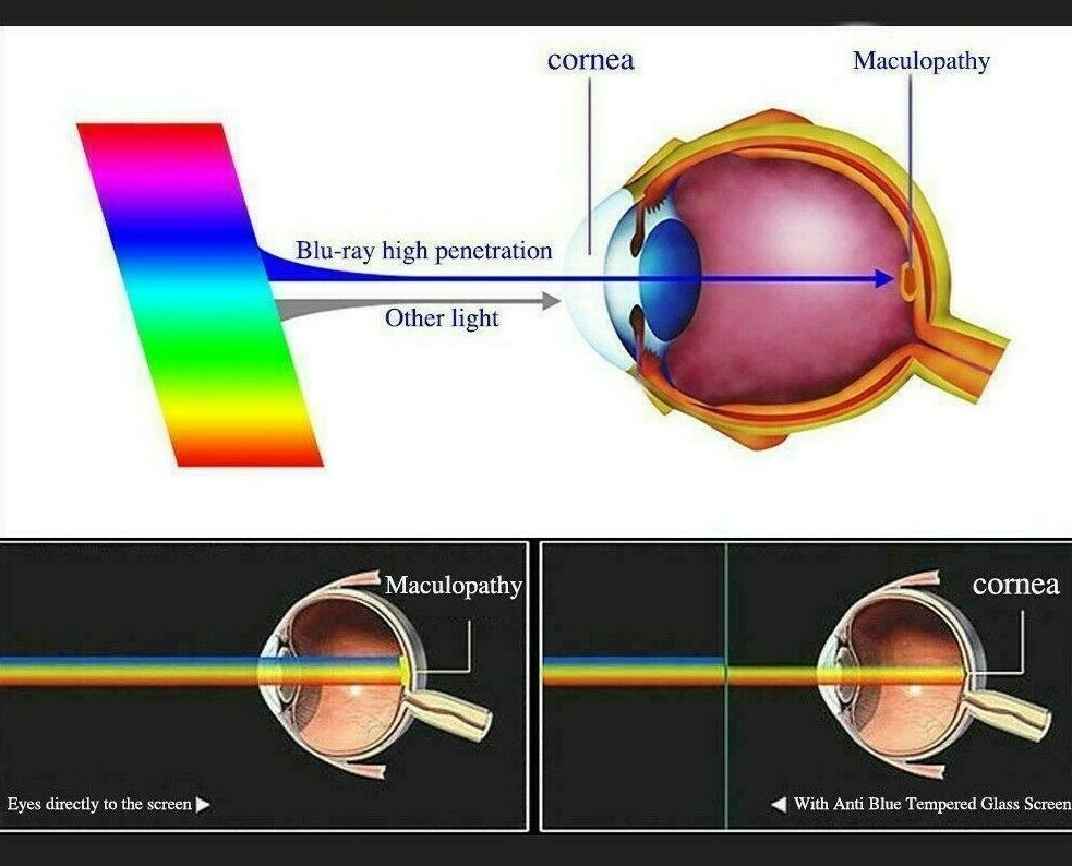 Anti Blue Light Screen Protector Guard Shield For Google Pixel 8 (2023)