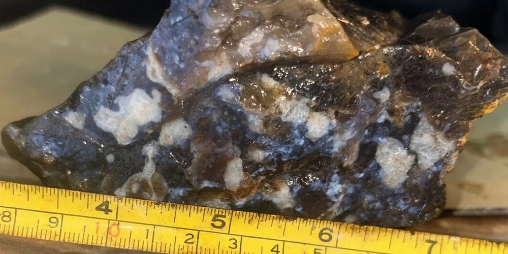 Silver Creek Junction petrified wood