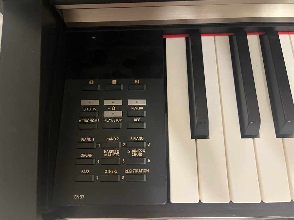 Digital Piano and Bench