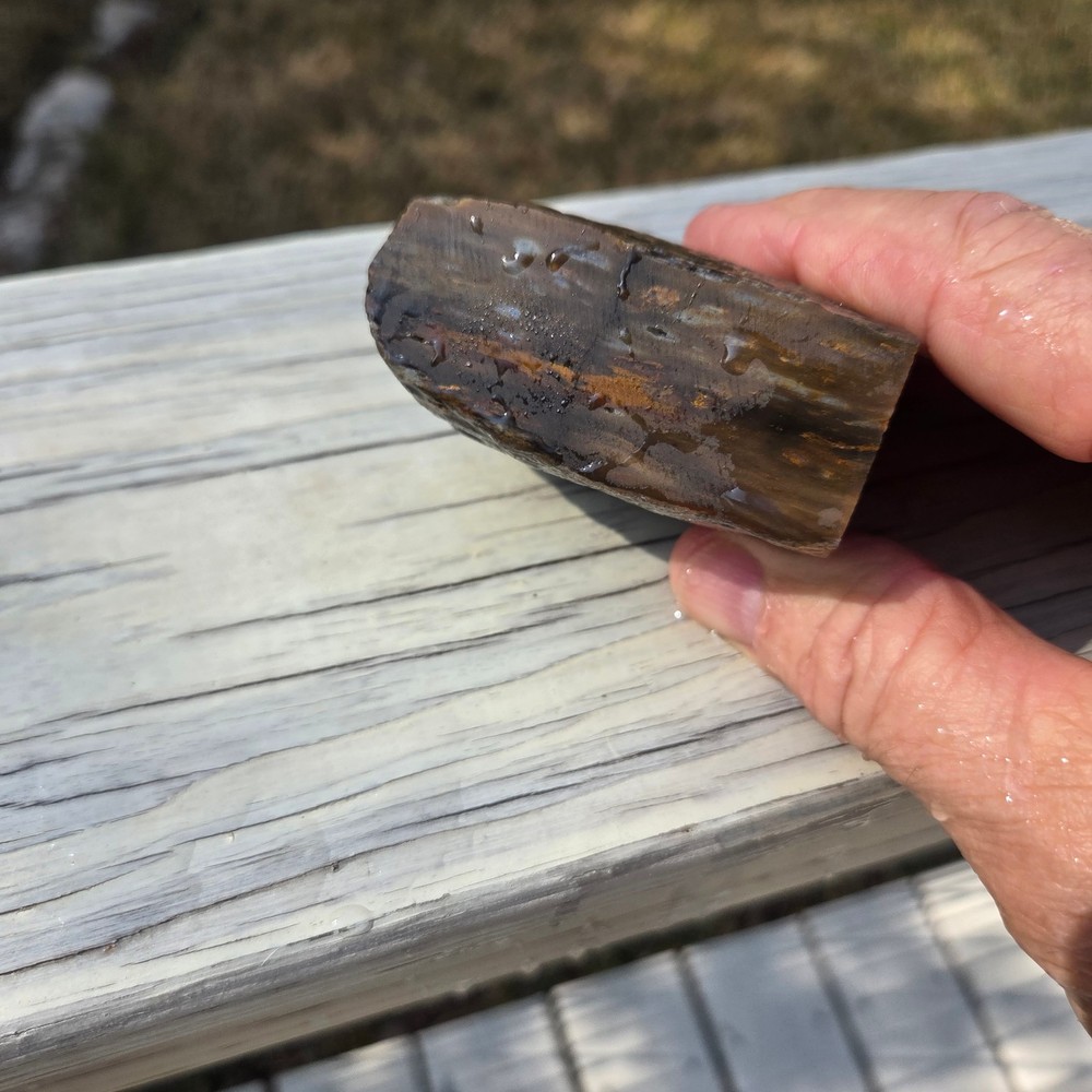 Palm Rough