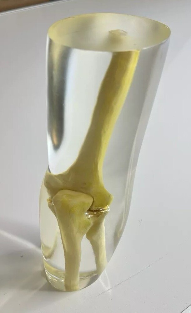 RSD Phantoms Natural Transparent Mannequin Elbow (Testing & Calibration)