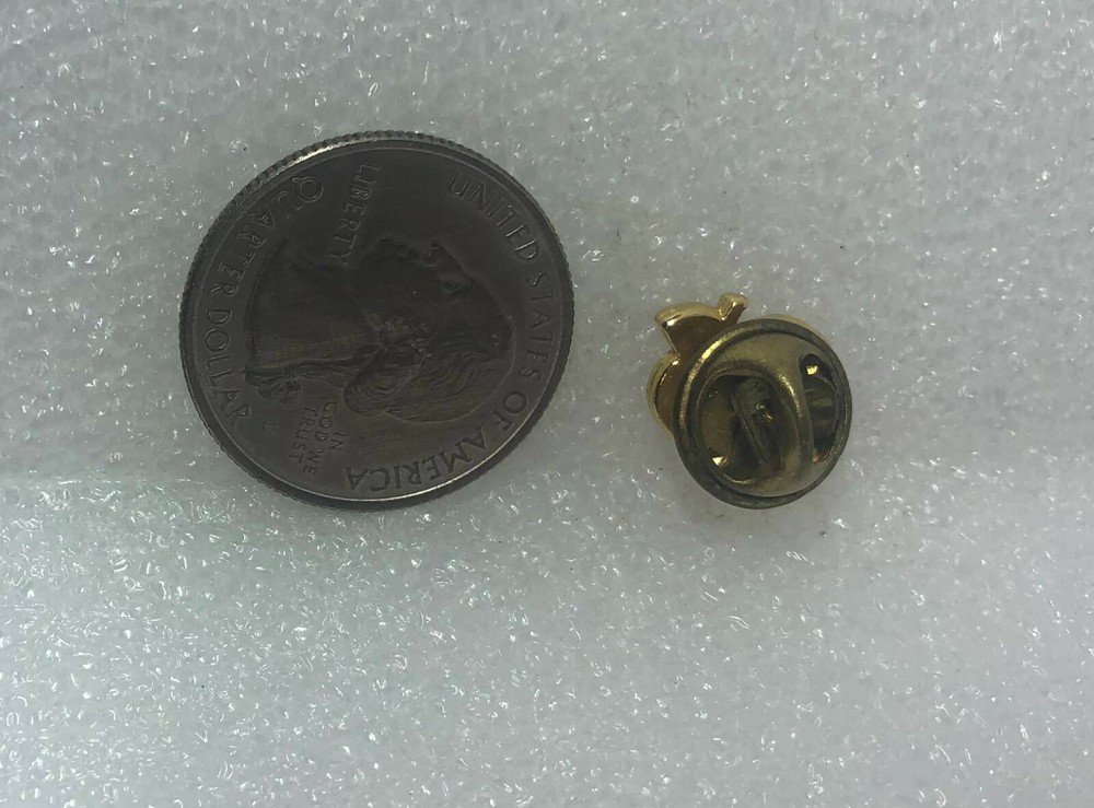 Special Teacher Apple Pin