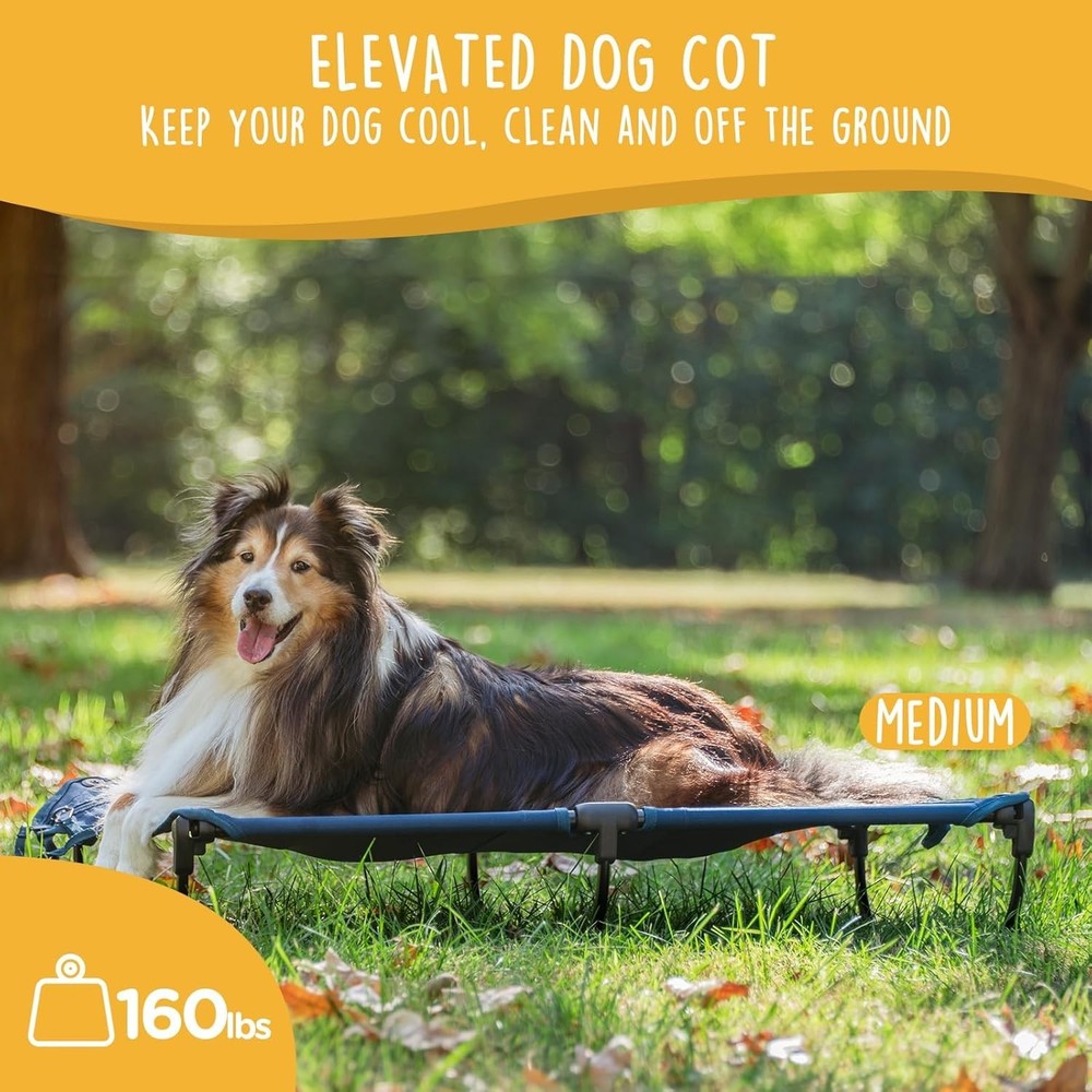 Daisy Folding Bed, Medium-Sized Foldable Elevated Pet Bed
